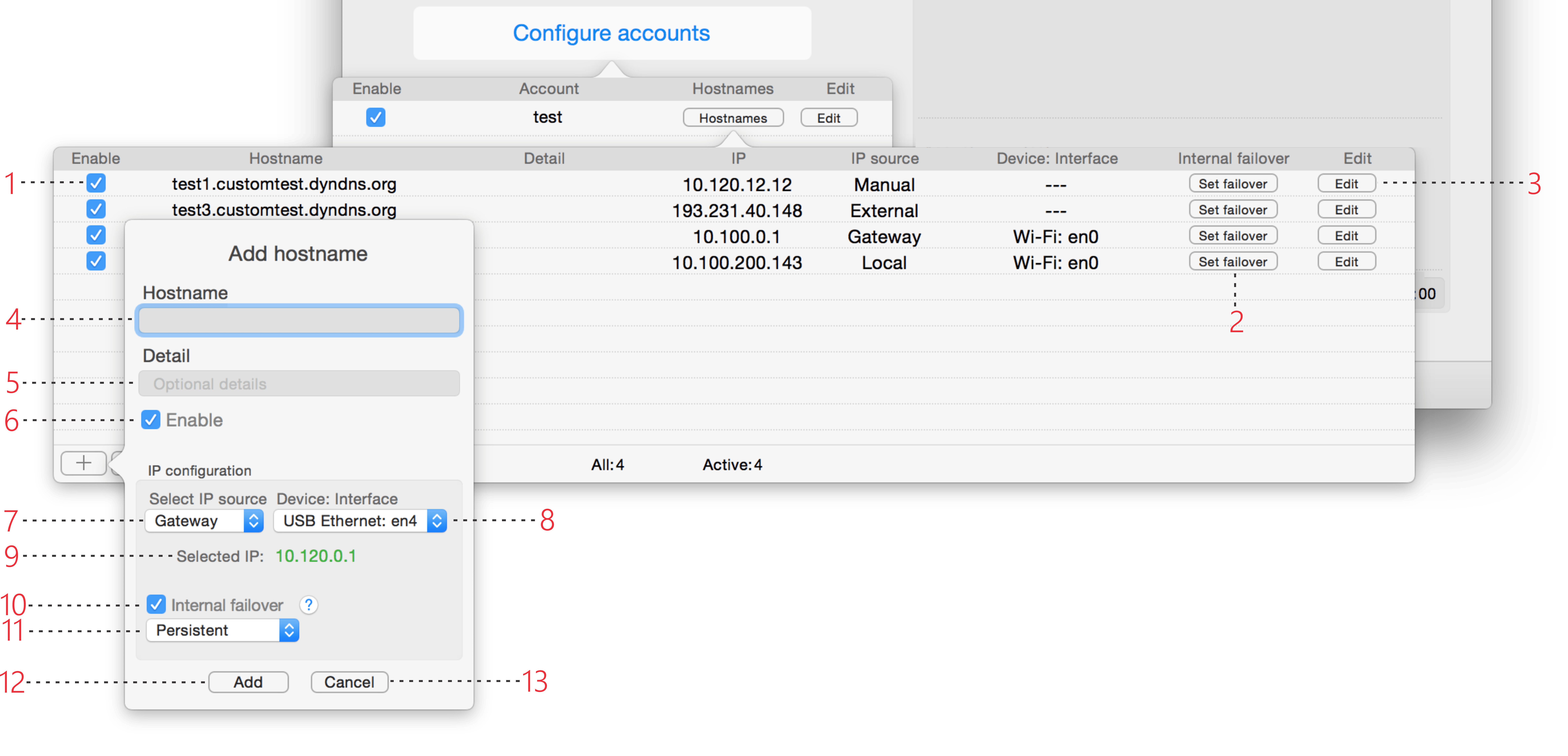 RealDNS Hostnames
