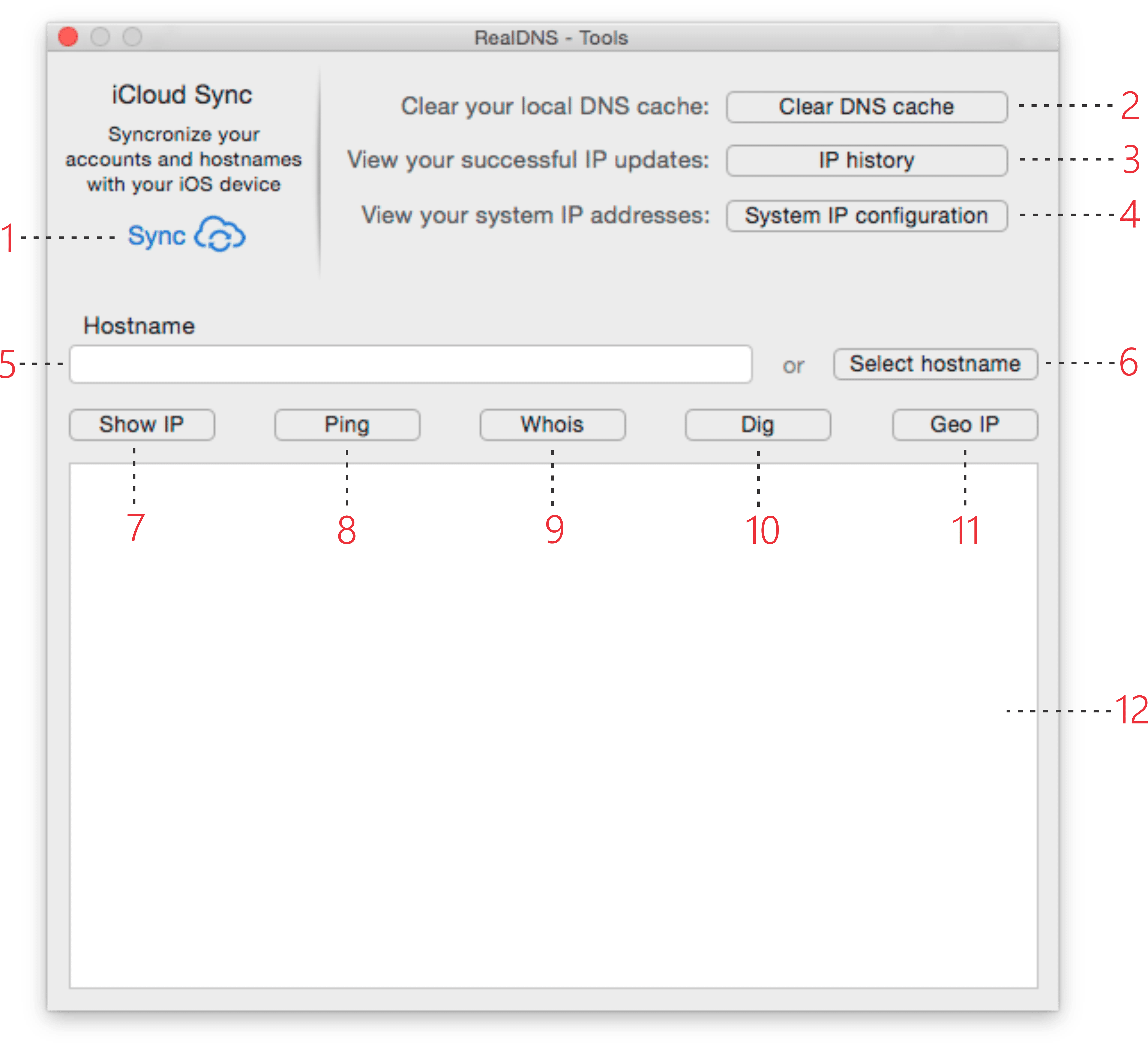 RealDNS Tools